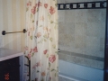 shower-curtains-3.jpg